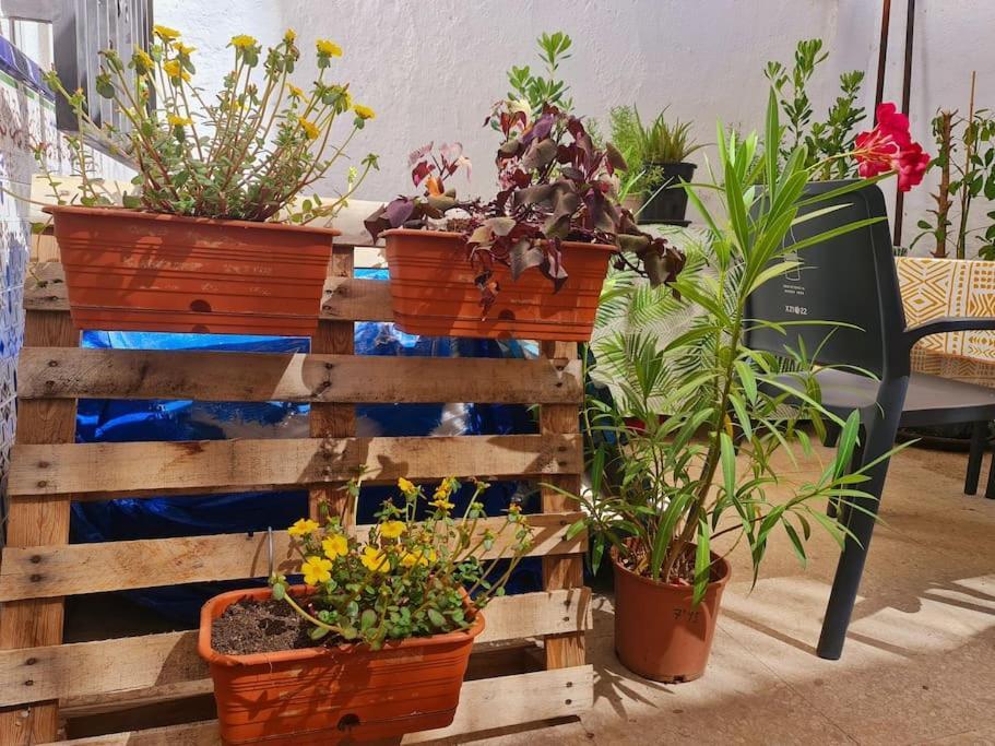 De Ensueno Y Relax Parking Gratuito