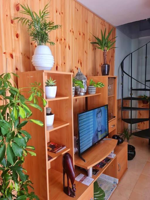 Apartment De Ensueno Y Relax Parking Gratuito *