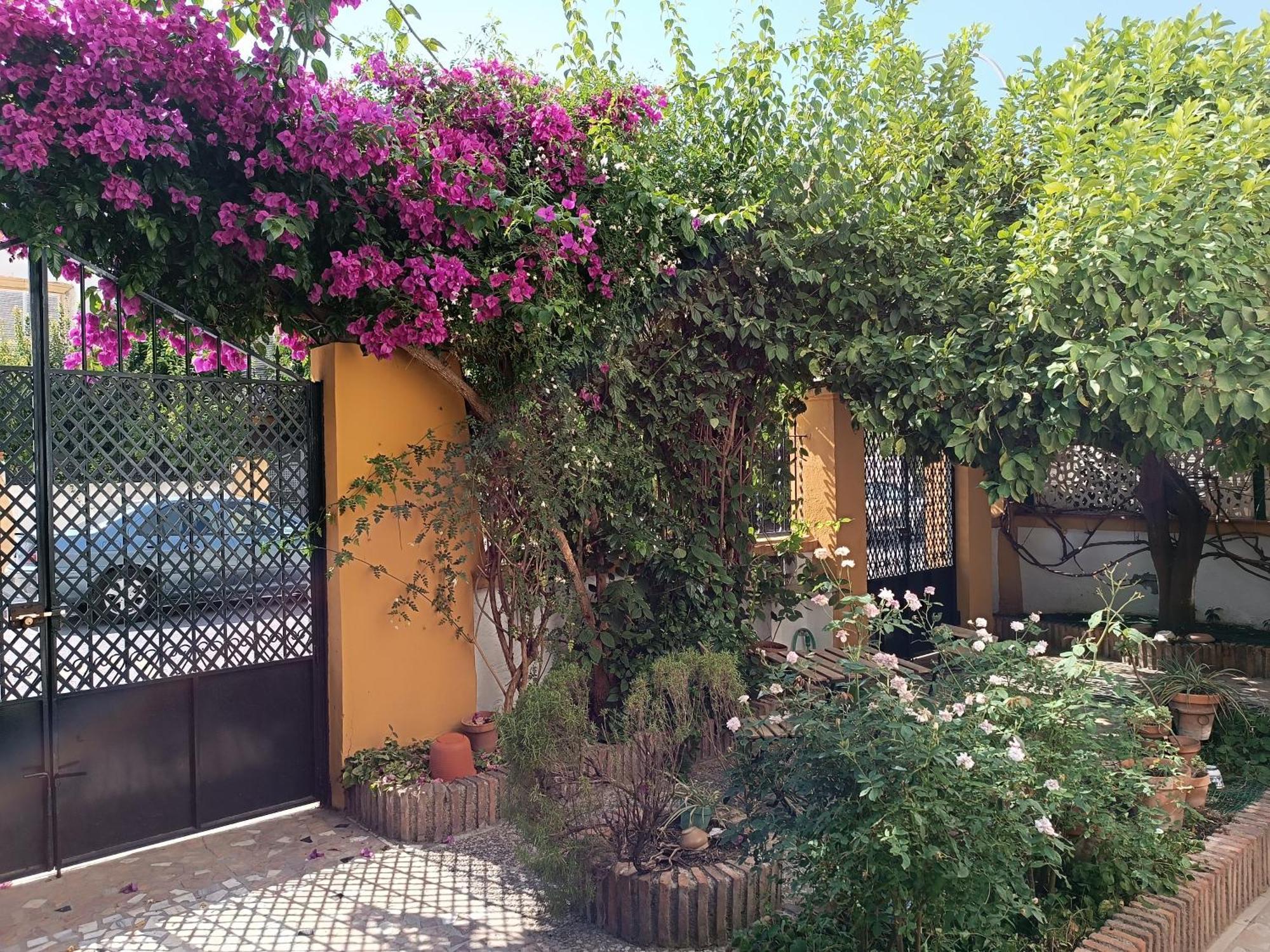 Casa Limonero Con Parking Gratis Junto A Centro Historico Holiday home Granada