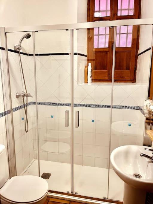 Charming Spacious Albayzin *