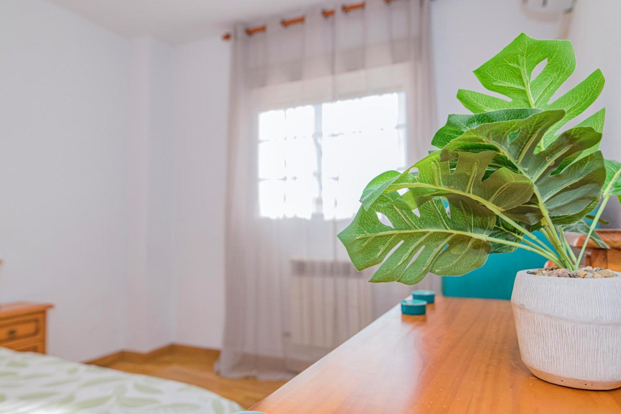 Atico Trucha Retreat Con Terraza Apartment