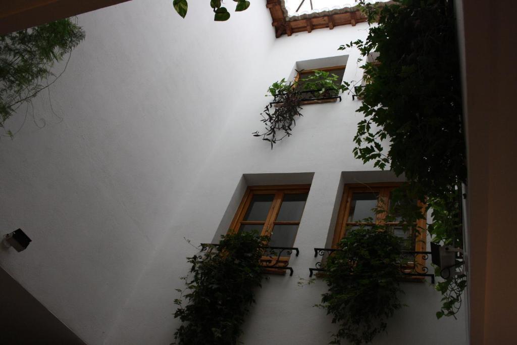 Apartment Residencia Jardines *