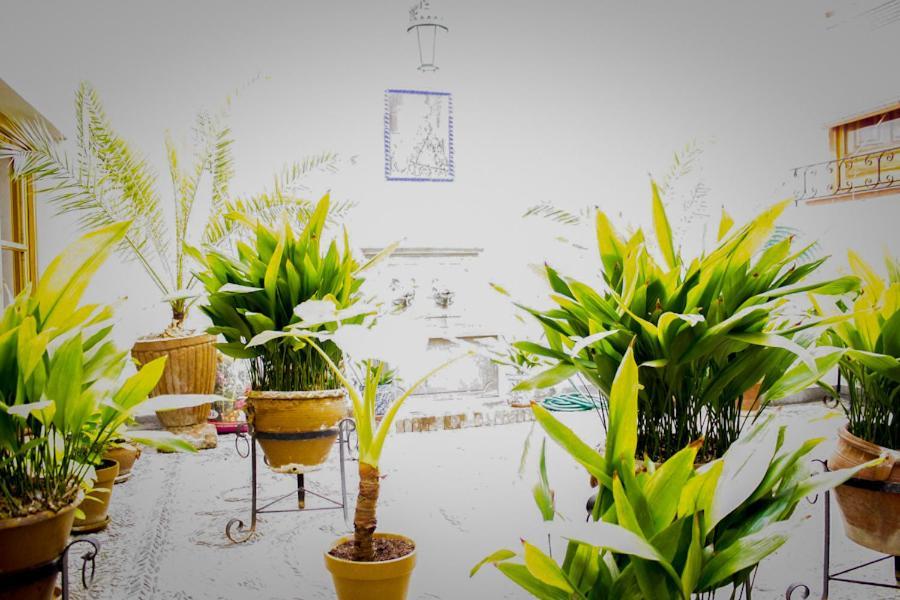 Residencia Jardines Apartment *