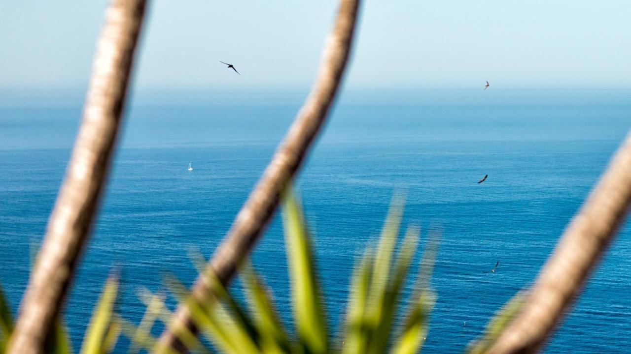 La Almendra Blanca - A Hidden Gem On The Mediterranean